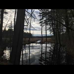 Meet your Posher, Ava